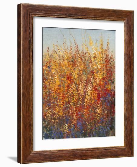 High Desert Blossoms I-Tim O'toole-Framed Art Print