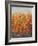 High Desert Blossoms I-Tim O'toole-Framed Art Print