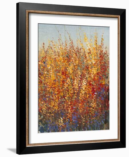 High Desert Blossoms I-Tim O'toole-Framed Art Print