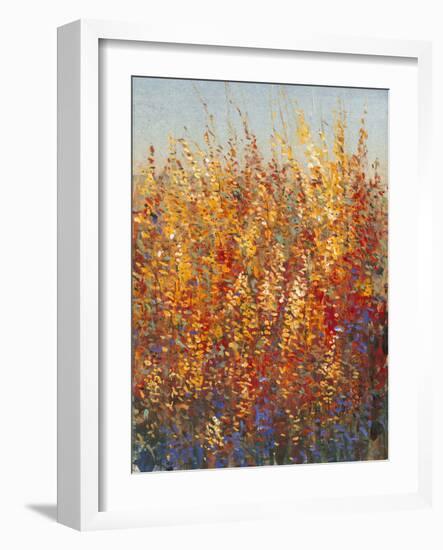 High Desert Blossoms I-Tim O'toole-Framed Art Print