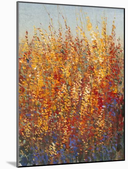 High Desert Blossoms I-Tim O'toole-Mounted Art Print