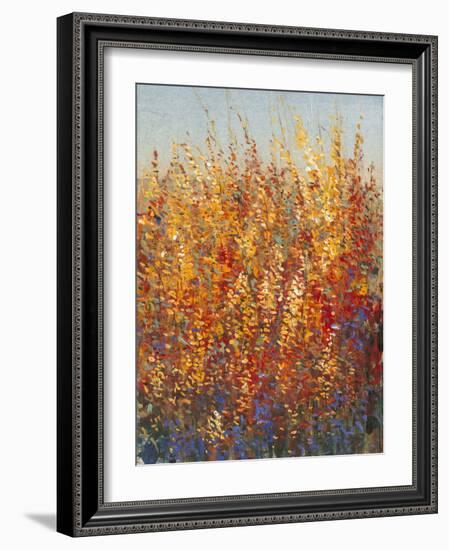 High Desert Blossoms I-Tim O'toole-Framed Art Print