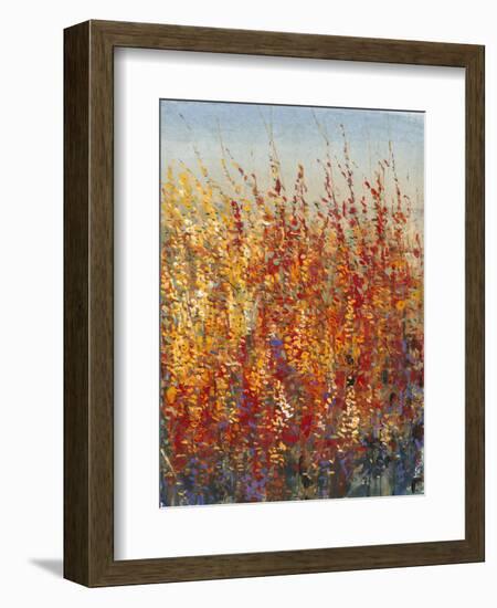 High Desert Blossoms II-Tim O'toole-Framed Premium Giclee Print