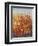 High Desert Blossoms II-Tim O'toole-Framed Premium Giclee Print