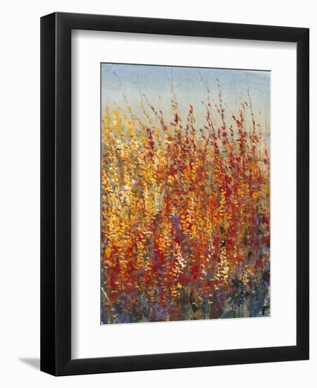 High Desert Blossoms II-Tim O'toole-Framed Premium Giclee Print