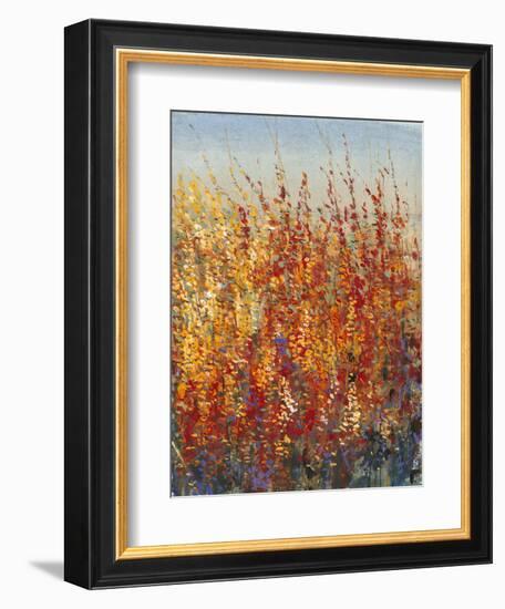 High Desert Blossoms II-Tim O'toole-Framed Premium Giclee Print