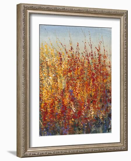 High Desert Blossoms II-Tim O'toole-Framed Art Print