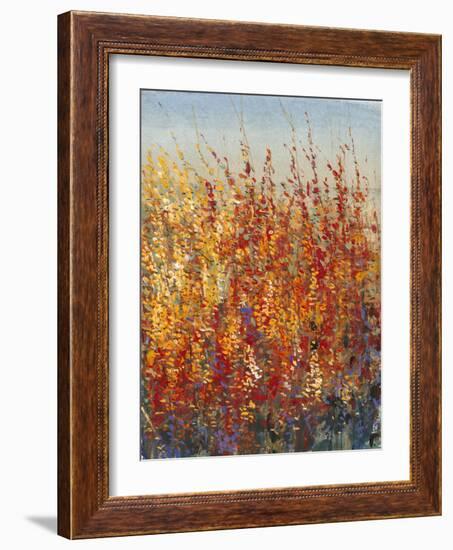 High Desert Blossoms II-Tim O'toole-Framed Art Print
