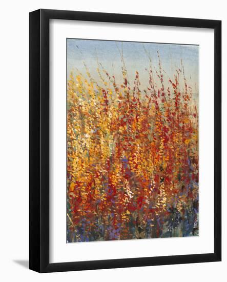 High Desert Blossoms II-Tim O'toole-Framed Art Print