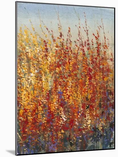 High Desert Blossoms II-Tim O'toole-Mounted Art Print