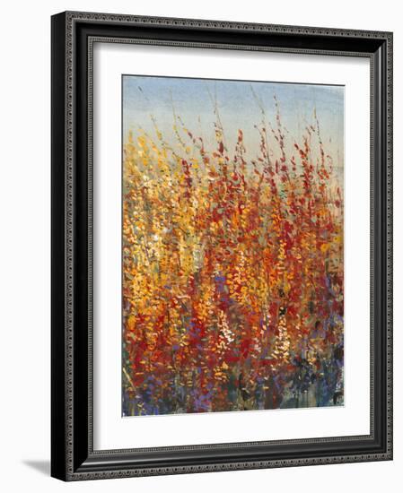 High Desert Blossoms II-Tim O'toole-Framed Art Print