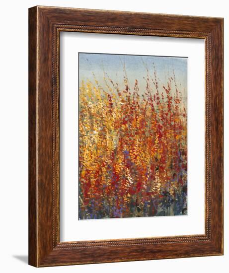 High Desert Blossoms II-Tim O'toole-Framed Art Print