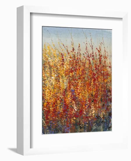 High Desert Blossoms II-Tim O'toole-Framed Art Print