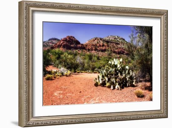 High Desert I-Alan Hausenflock-Framed Photographic Print