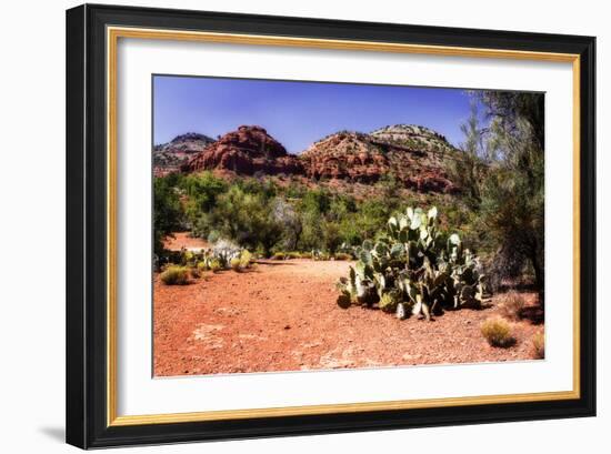 High Desert I-Alan Hausenflock-Framed Photographic Print