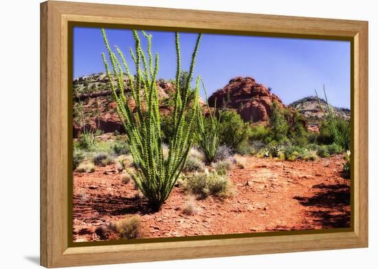 High Desert II-Alan Hausenflock-Framed Premier Image Canvas