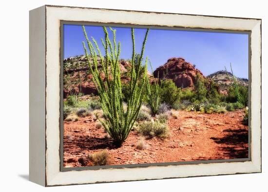 High Desert II-Alan Hausenflock-Framed Premier Image Canvas