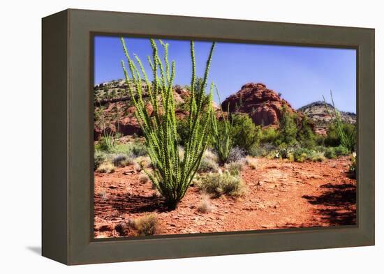 High Desert II-Alan Hausenflock-Framed Premier Image Canvas