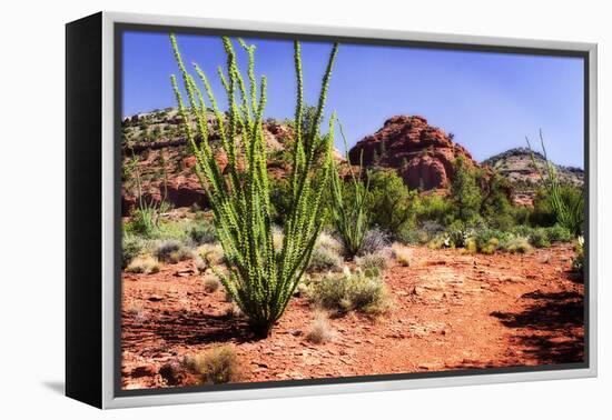 High Desert II-Alan Hausenflock-Framed Premier Image Canvas