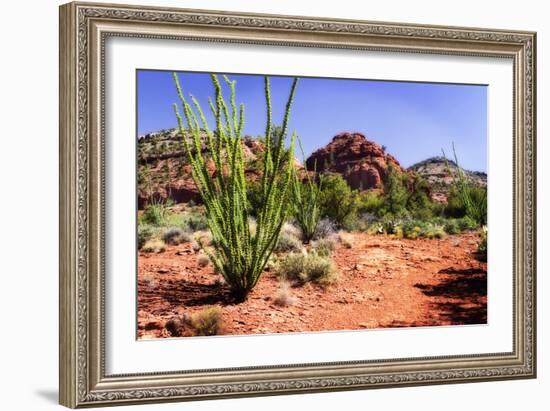 High Desert II-Alan Hausenflock-Framed Photographic Print