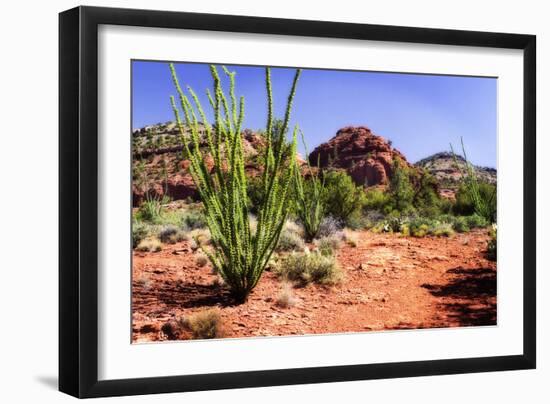 High Desert II-Alan Hausenflock-Framed Photographic Print