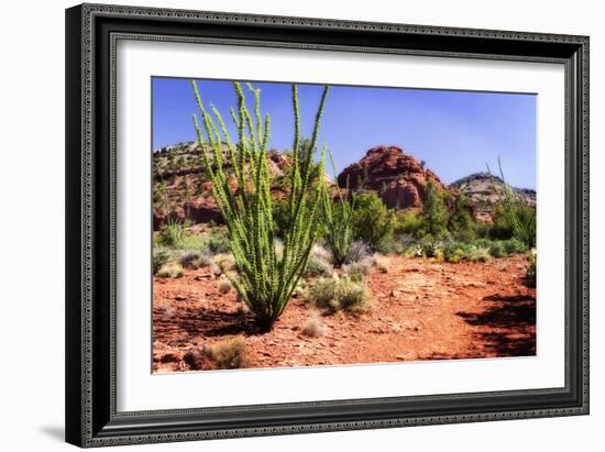 High Desert II-Alan Hausenflock-Framed Photographic Print