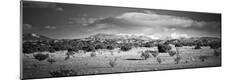 Premium Photographic Print