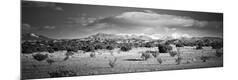 Premium Photographic Print
