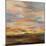 High Desert Sky III-Silvia Vassileva-Mounted Art Print