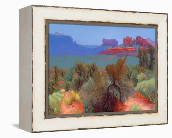 High Desert-Mary Silverwood-Framed Stretched Canvas