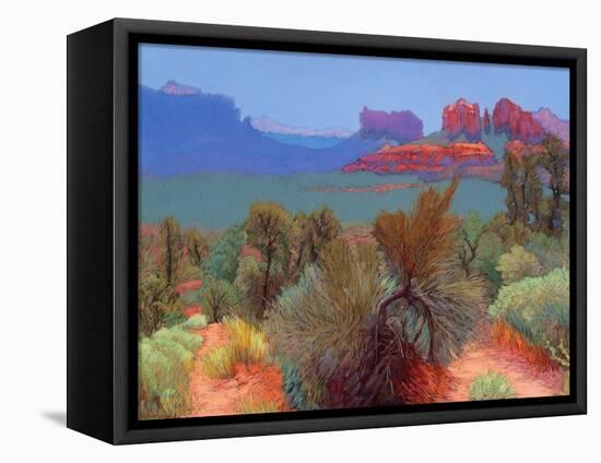 High Desert-Mary Silverwood-Framed Stretched Canvas