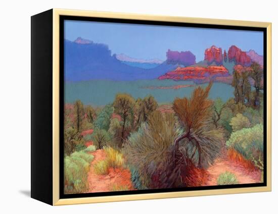 High Desert-Mary Silverwood-Framed Stretched Canvas