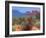 High Desert-Mary Silverwood-Framed Art Print