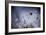 High Diving-Fabien Bravin-Framed Photographic Print