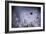 High Diving-Fabien Bravin-Framed Photographic Print