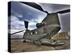 Stretched Canvas Print