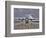 High Dynamic Range Image of a US Air Force C-130 Hercules-null-Framed Photographic Print