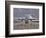 High Dynamic Range Image of a US Air Force C-130 Hercules-null-Framed Photographic Print