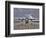 High Dynamic Range Image of a US Air Force C-130 Hercules-null-Framed Photographic Print