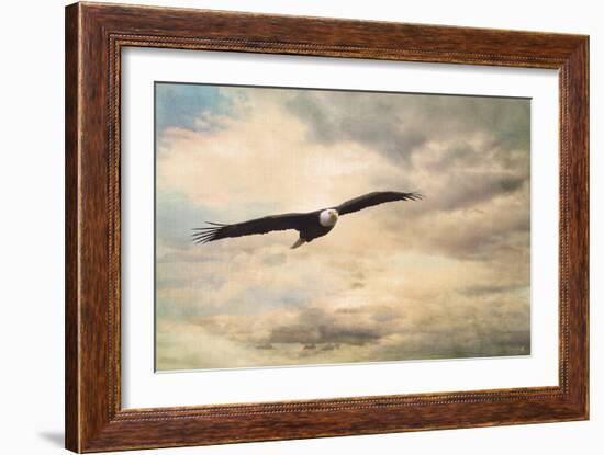 High Flyer Bald Eagle-Jai Johnson-Framed Giclee Print