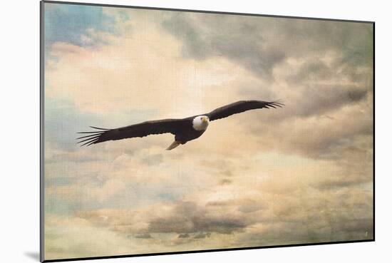 High Flyer Bald Eagle-Jai Johnson-Mounted Giclee Print