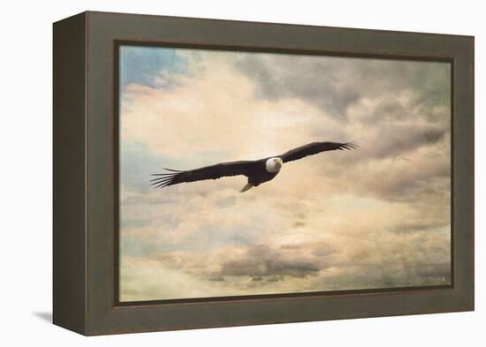 High Flyer Bald Eagle-Jai Johnson-Framed Premier Image Canvas