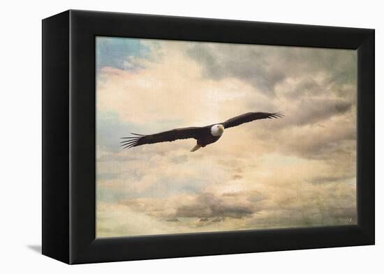 High Flyer Bald Eagle-Jai Johnson-Framed Premier Image Canvas