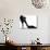 High Heel Shoes (Silhouette)-jara3000-Art Print displayed on a wall