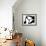High Heels III-Monika Burkhart-Framed Photographic Print displayed on a wall