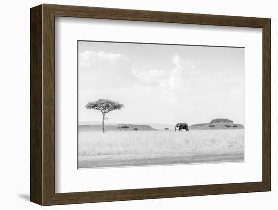 High Key Savannah-Jaco Marx-Framed Photographic Print