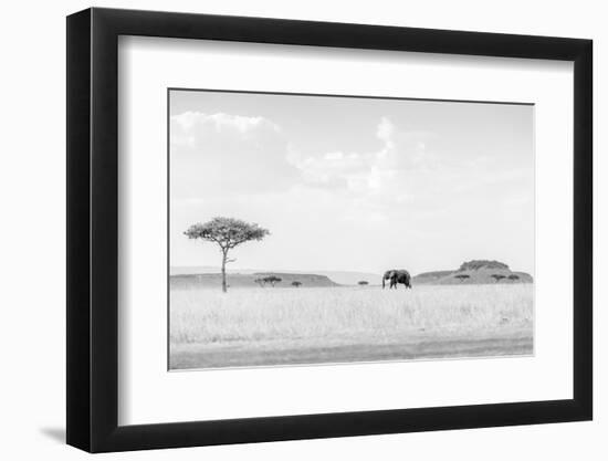 High Key Savannah-Jaco Marx-Framed Photographic Print