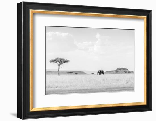 High Key Savannah-Jaco Marx-Framed Photographic Print