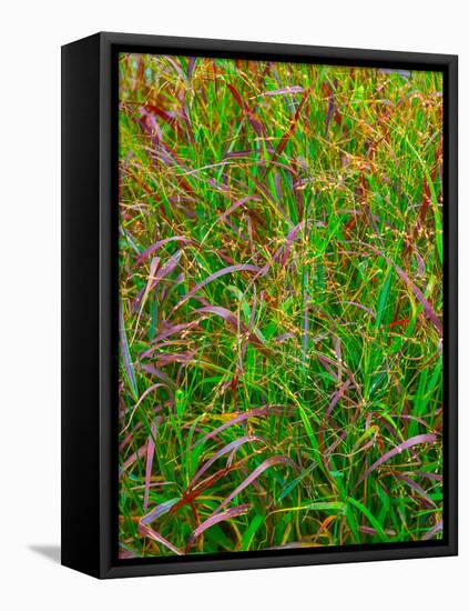 High Line Blades-Steven Maxx-Framed Premier Image Canvas