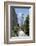 High Line Park on old train tracks above the ground. Manhattan. New York-Tom Norring-Framed Photographic Print